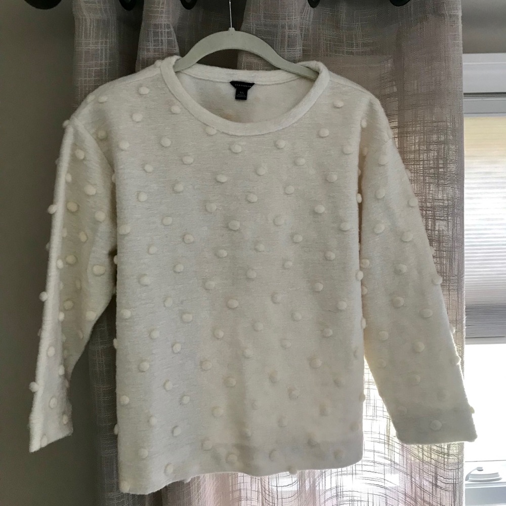 Ann Taylor sweater
